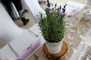 IMG 0464-2