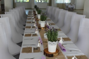 IMG 0481-3