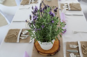 IMG 0490-3