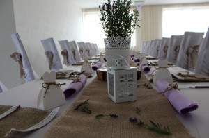 IMG 0493-3